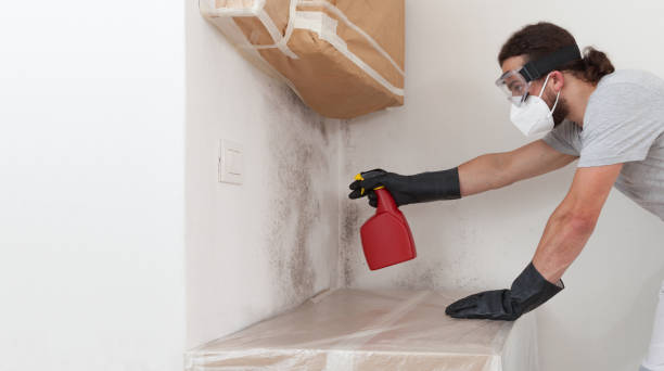 Professional Crawl Space Mold Remediation technician working in Burlington, NJ