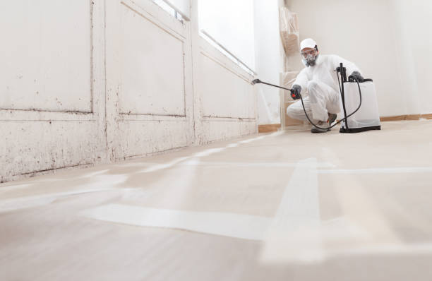 24/7 Emergency Crawl Space Mold Remediation experts in Burlington, NJ