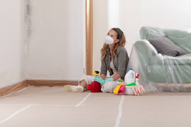 Reliable Crawl Space Mold Remediation contractor in Burlington, NJ by Car Mold Remediation