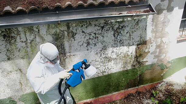 Top rated local Crawl Space Mold Remediation specialists in Burlington, NJ